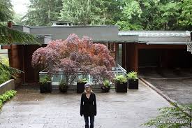 Immagine di una cucina contemporanea con lavello sottopiano, ante lisce, ante in legno scuro, paraspruzzi a finestra, elettrodomestici in acciaio inossidabile, pavimento in legno. The Cullen House From The Twilight Saga New Moon Iamnotastalker