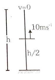 Acceleration reflects how quickly velocity is changing. For The Velocity Time Graph Shown In Figure In A Time Interval F