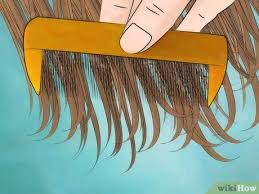 How long to boil eggs (soft, firm, or hard). How To Use A Lice Comb On Dry Hair 12 Steps With Pictures