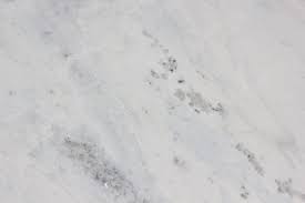 Image result for Bianco Divino 2010 147