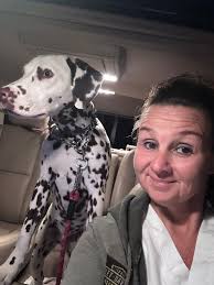 Hero's first day of doggy daycare was a blast