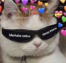 turuncu yari texting cute love memes memes cute memes