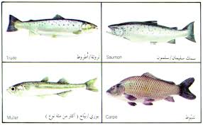 مؤسسة الامام علي عليه السلام لندن