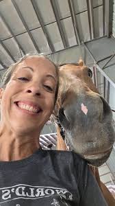 New semester at western equine group