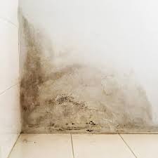 Big sky carpet cleaning, house cleaning, water damage restoration, mold remediation. 12 Tips For Water Damage Repair The Family Handyman