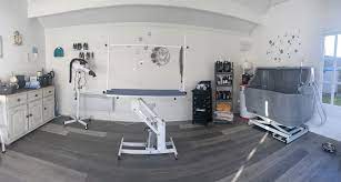 35% off first autoship · free shipping · 35% off first autoship Dirty Paws Dog Grooming Salon Home Facebook