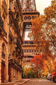 Paris Pictures Photograph Paris In The Fall By Rose Palmisano Autumn Scenery Fall Pictures Fall Wallpaper