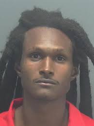 Lee County Arrests 11/20