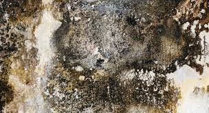 How To Solve Damp Problems In Houses Property Road
