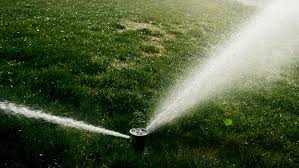 We did not find results for: Enoch City Testing New Water Saving Responsive Drip Irrigation System
