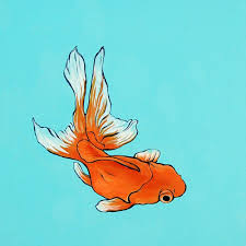 Pin By Sierra Wilson On Things To Paint Or Draw Goldfish Fish Painting Fish Art