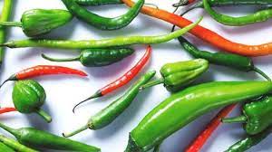 Who needs google when you have ch. What Do You Know About Chili Proprofs Quiz