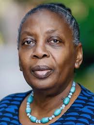 Dorceta Taylor appointed Wangari Maathai Professor of Environmental Justice 