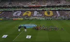 Os juvenis são chamados de frangos, e os filhotes, de pintos, pintainhos (português europeu) ou pintinhos (português brasileiro). Olha O Mosaico Da Torcida Do Galo No Independencia No Primeiro Jogo Da Final Do Mineiro Globoesportecom Scoopnest