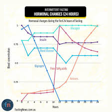 Research about intermittent fasting for weight loss is mixed. Intermittent Fasting Hormonal Changes 24 Hours Intermittent Fasting Hormonal Changes Intermittent Fasting Results