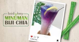 Bisa juga dengan mencampurkannya ke makanan atau minuman, seperti sup, salad, bubur oat, jus, smoothies, dan yoghurt. Resipi Minuman Biji Chia Starry Night Amwaynow