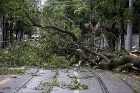 Jun 26, 2021 · georg pistotnik, klimaforscher der zentralanstalt für meteorologie und geodynamik. Unwetter Und Hochwasser In Der Schweiz Die Neusten Entwicklungen