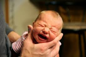 1,447 Hand Pat Stock Photos