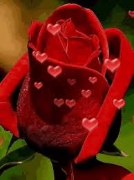 We did not find results for: Hearts And Flowers Gifs Tenor