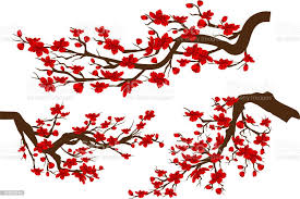 Vetores De Ramos Da Sakura Flor Vermelha Fundo Branco Cerejeira Japonesa Isolado Ano Novo Chines E Mais Imagens De 2019 Istock