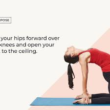 Camel also works on an energetic level to open up the heart, encouraging us to release pent up emotions. How To Do Camel Pose Ustrasana