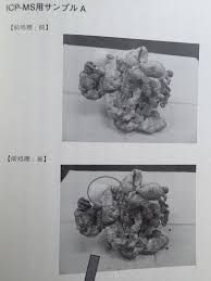 御巣鷹山日航123便の墜落現場地獄図秋吉久美子の衝撃的な姿秘蔵写真