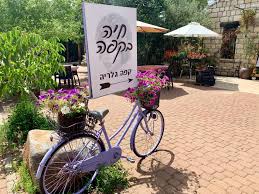 Haya bacafe