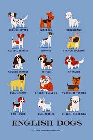 English Dog Breeds English Dogs Dog Breeds List Dog Breeds