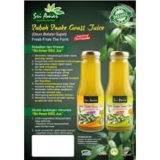 .contohnya seperti jus belalai gajah, serbuk kopi belalai gajah dan teh uncang belalai gajah. Jus Daun Belalai Gajah Sabah Snake Grass Juice Original Madu Shopee Malaysia