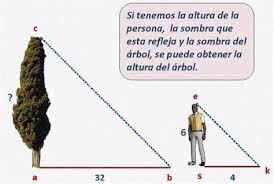 Triangulos Semejantes Spanish Ged 365 Ged En Espanol Geometria Y Trigonometria Actividades De Matematicas Matematicas Interactivas