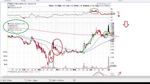 Because of the myriad varieties of different star… Stocks To Buy Ttoo T2 Biosystems 2020 07 03 Youtube