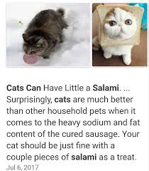 Cat owners may actually want to know, though, whether cats can have little a salami. Cats Can Have A Little Salami Know Your Meme