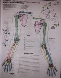 These labeling bones last over long periods and come in dry forms that you can instantly serve to your pet to feast upon. If You Are Seeing This Message That Means Javascript Has Been Disabled On Your Browser Please Enable Js To Make This App Work Loading Getting Image Please Wait Logo Search Course Ncert Class 12 Class 11 Class 10 Class 9 Class 8 Class 7