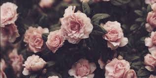 It held that while congress had broad lawmaking authority under the. Https Quizlet Com 41917688 Us History Staar Eoc Review Supreme Court Cases Flash Card Vintage Flowers Wallpaper Vintage Flower Backgrounds Flower Backgrounds