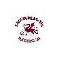 Drouin Dragons Under 15 Girls Teams Presentation Night event image