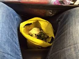 No matter the food or beverage, it must not contain… traveling is already hard enough when you have a baby without the prospect of not being able to bring food or formula onboard to feed your baby. Are We Allowed To Carry Potted Plants Or Cuttings In Domestic Flights In India Quora
