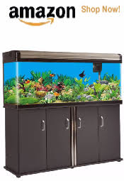 Fish Tank Sizes Choose The Best Tank Size Dimensions And More
