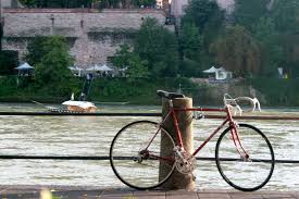 Una milza ingrossata non riesce a svolgere correttamente le proprie funzioni, ed occorre scoprire il prima possibile le cause che hanno portato la milza ad ingrossarsi eccessivamente. Milza Come Depurarla In Poche E Semplici Mosse Reve