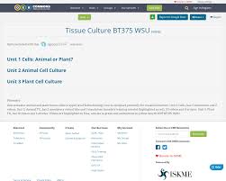 Check spelling or type a new query. Tissue Culture Bt375 Wsu Unit 2 Animal Cell Culture Oer Commons