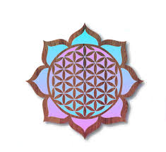 Here you will get all types of png images with transparent background. Download Hd The Translation Of Surah Al Fatihah Surah Al Baqarah Transparent Png Image Nicepng Com