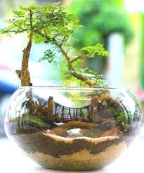 Terrarium Miniature Garden Decoration Ideas 2019 Gartendekoration Miniaturgarten Sukkulententerrarium Terrarien
