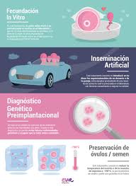 Tratamientos De Fertilidad Clinicaseva Fertilidad Tratamiento De Fertilidad Fertilidad Fecundacion In Vitro