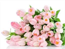 For an extra birthday treat you can even add an adorable stuffed animal a flower bouquets pictures free stock photos happy birthday flowers bouquet flower bouquets pictures hd flower bouquet gift flower bouquet. Birthday Flower Bouquets Roses Set Of Pictures Birthday Flower Ideas Romance Youtube