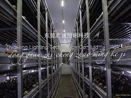 Maybe you would like to learn more about one of these? Chinese Led Mushroom Grow Lights Mushroom Projects Lighting Solutions Mushroom Equipment Products China Chinese Led Mushroom Grow Lights Mushroom Projects Lighting Solutions Mushroom Equipment Supplier
