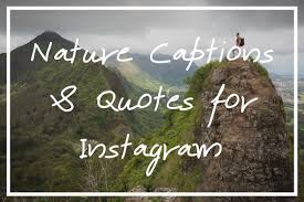 Maybe you would like to learn more about one of these? 215 Epic Nature Captions For Instagram Quotes Captions About Nature What S Danny Doing