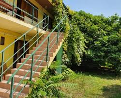 Tesis, la nudisti'a arabayla 10 dakikalık mesafededir. Casa Cornel Vama Veche Madagascar Travel Agentie De Turism Zona Iancului Sector 2 Vacante Circuite Excursii Ghid Turistic