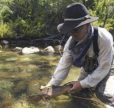 Three Ways To Help Catch And Release Trout Survive Field Stream Flyfishing Fly Fishing Fish Trout Fishing Tips