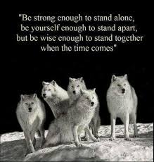A Good Creed To Live By Wolves Mate For Life Native American Wolf Quotes Wolf Quotes American Quotes