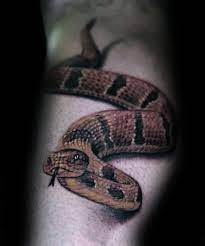 50 3d Snake Tattoo Designs For Men Reptile Ink Ideas Snake Tattoo Snake Tattoo Design For Men Snake Tattoo Design