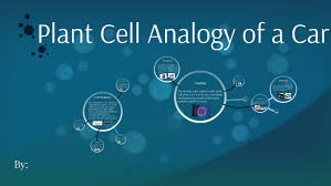 Maybe you would like to learn more about one of these? Cell Analogy Of A Car By Arsh Sidhu